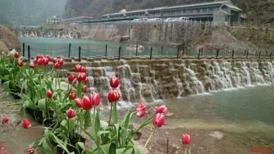 32除于8乘4怎么列竖式?--专业问答交流平台